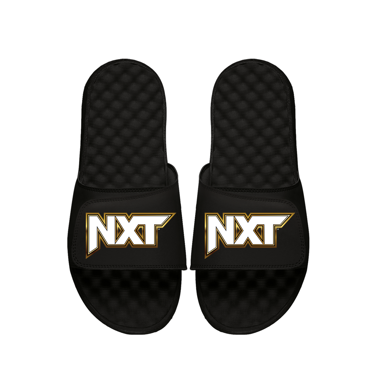 NXT Wordmark Slides