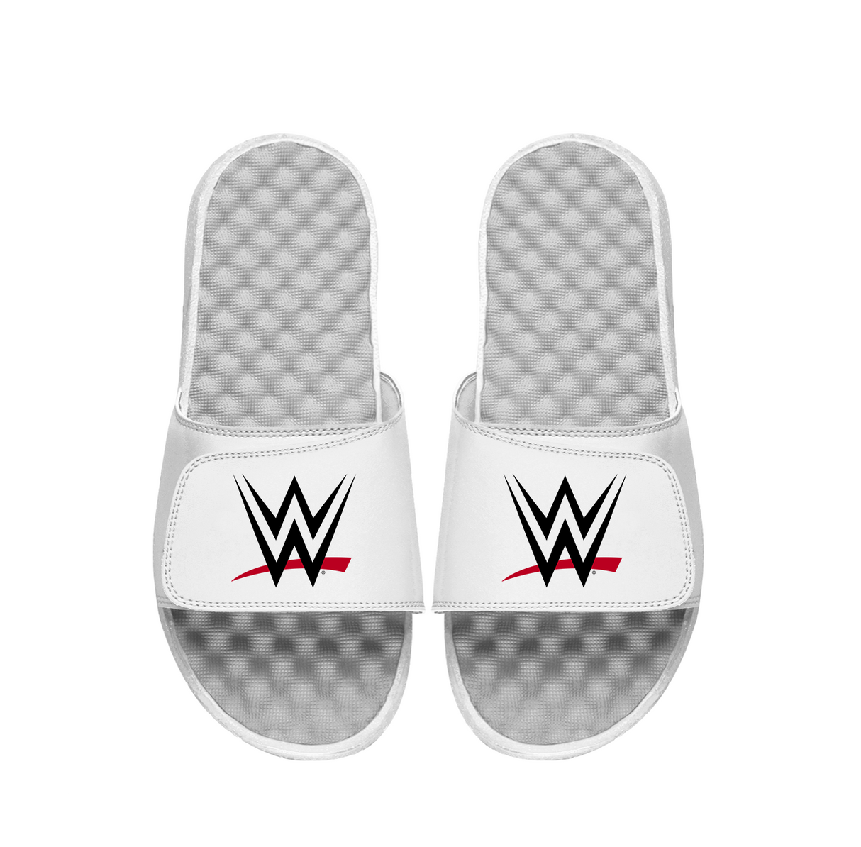 WWE Primary Logo Slides