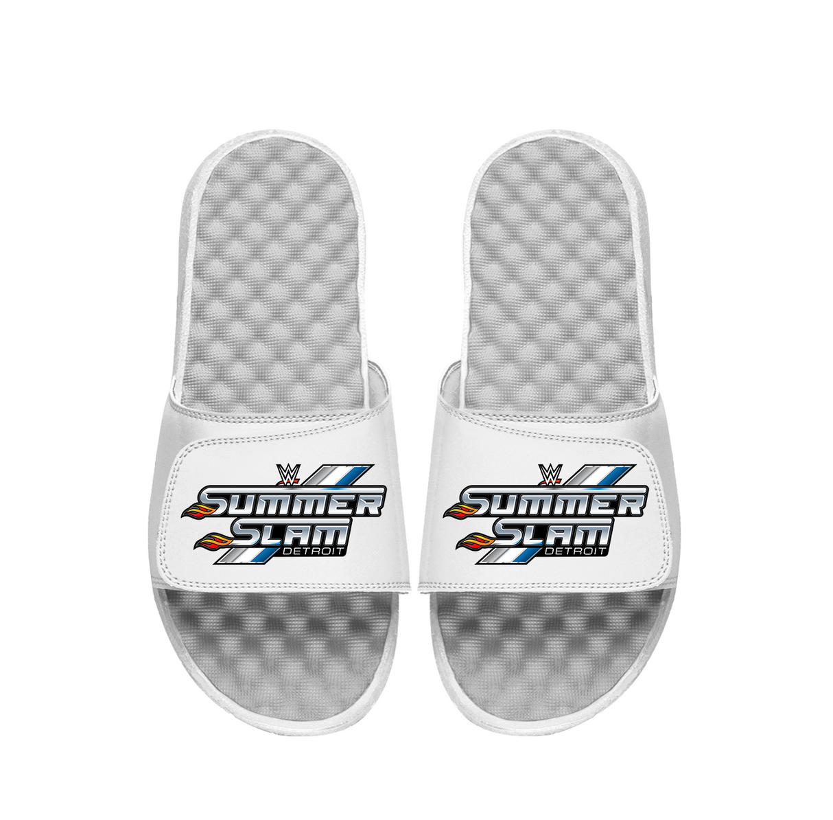 WWE Summer Slam Slides