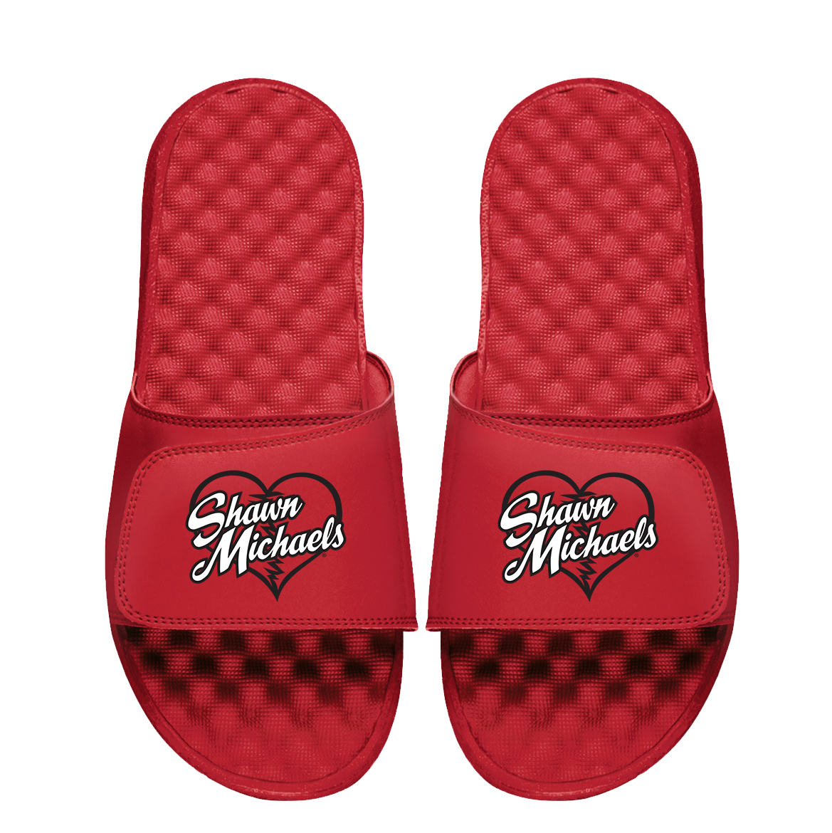 Shawn Michaels Heartbreak Slides