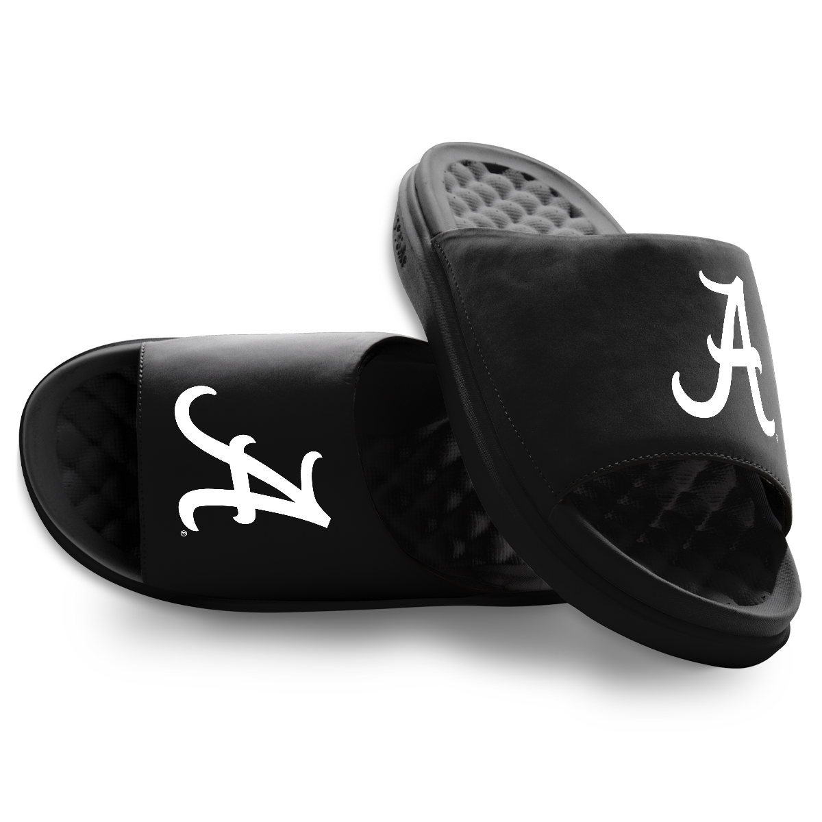 Alabama Crimson Tide Primary Motive