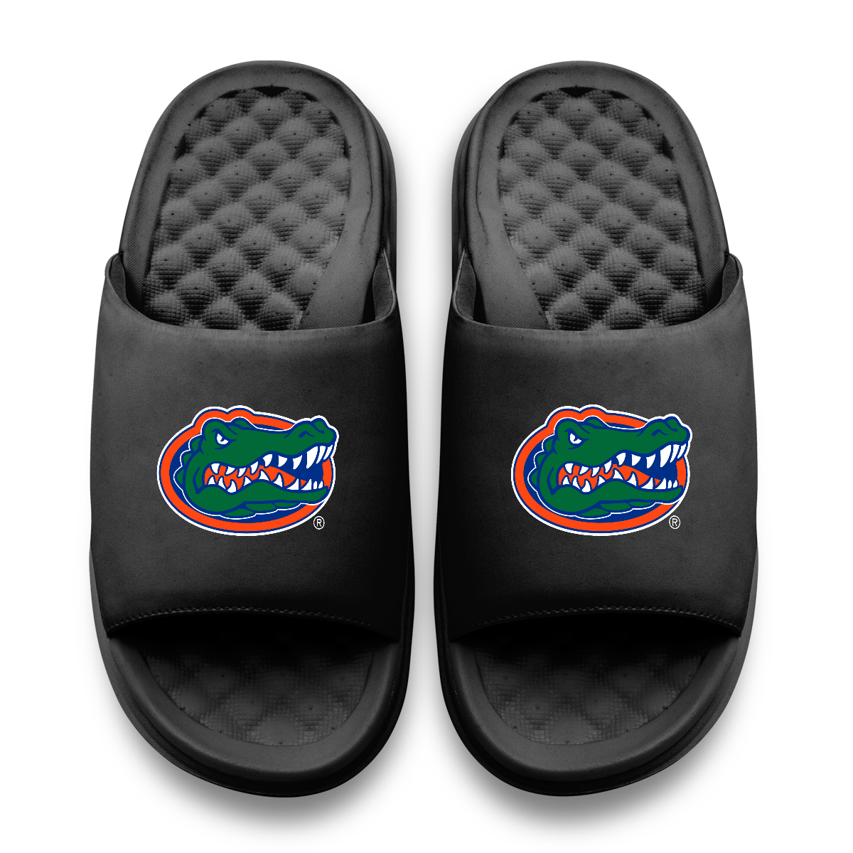 Florida Gators Primary Motive