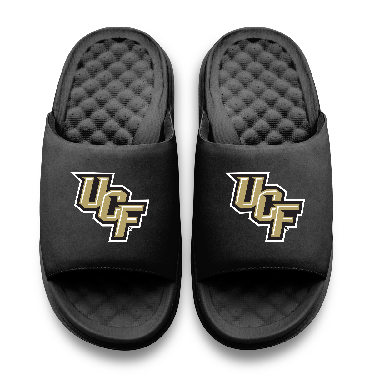 UCF Knights Primary Motive