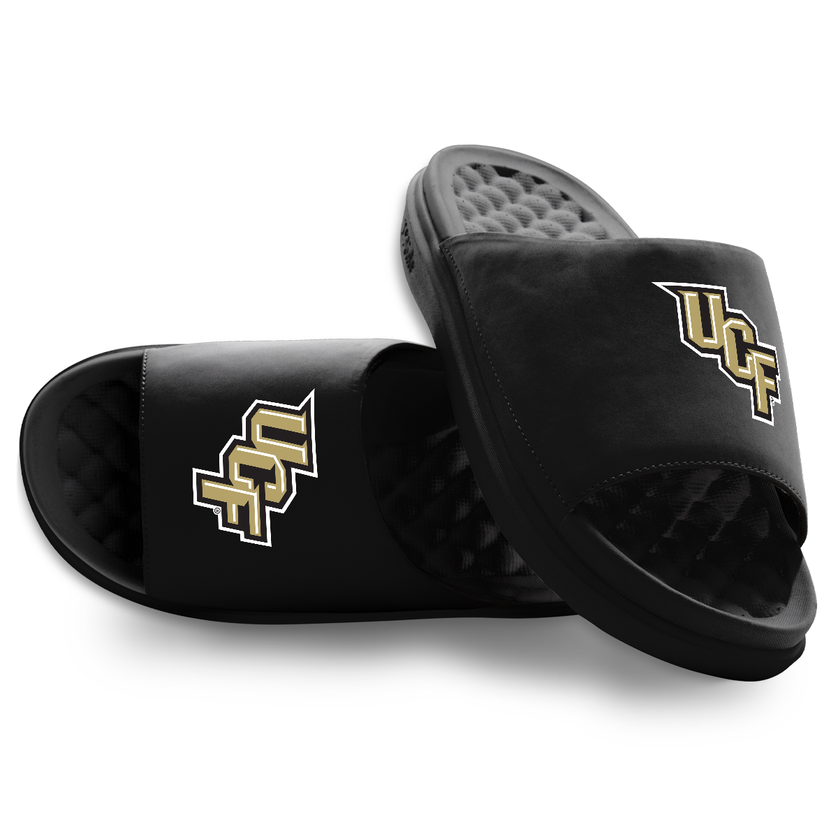 UCF Knights Primary Motive