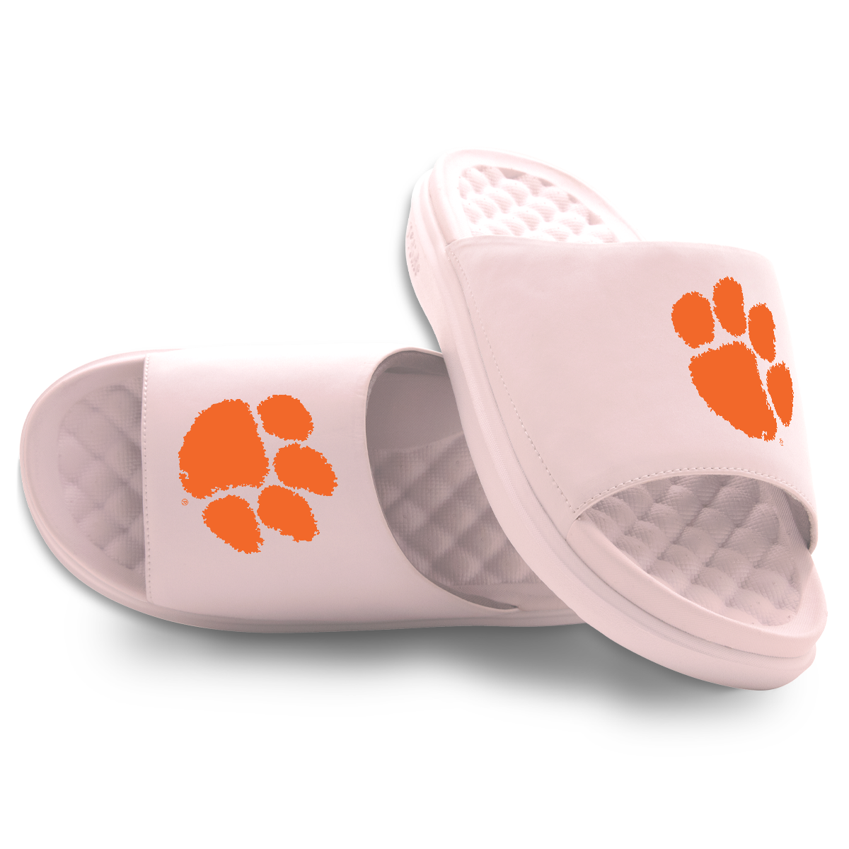 Clemson Tigers Primary Motive