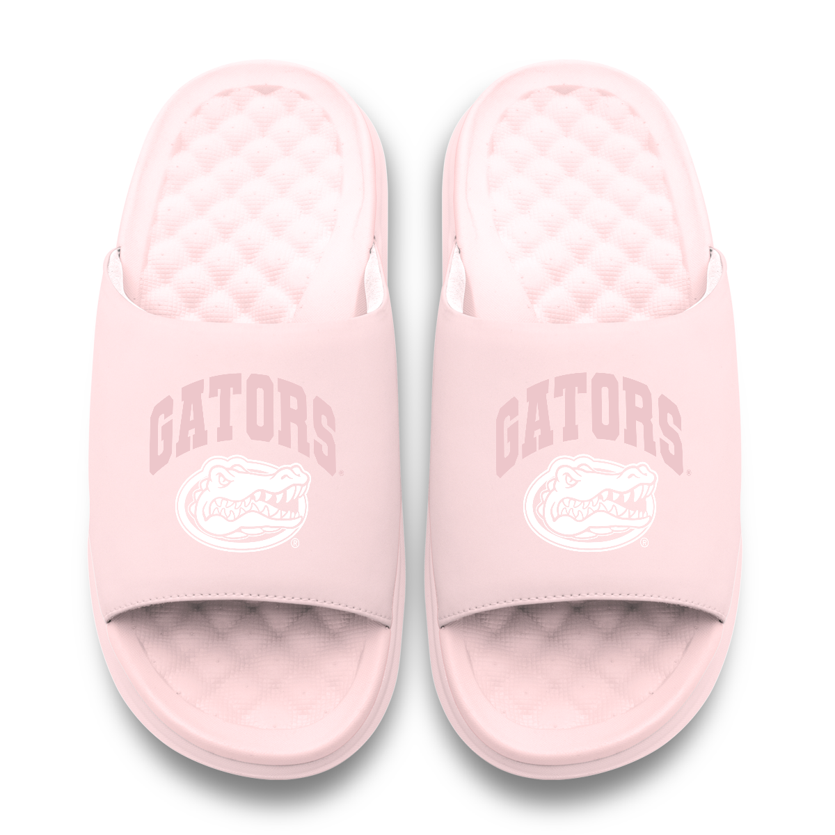 Florida Gators Tonal Pop Motive