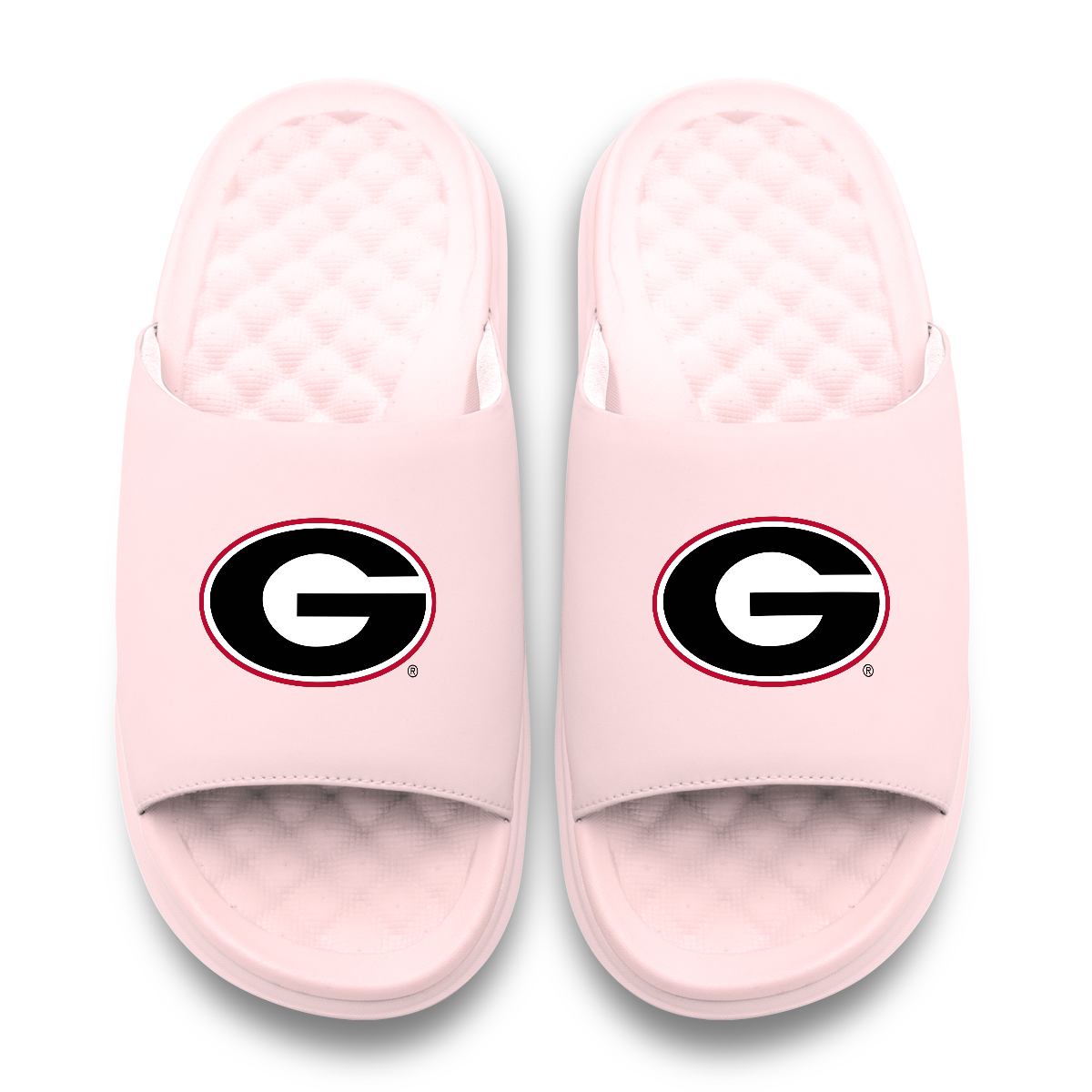 Georgia Bulldogs Primary Motive