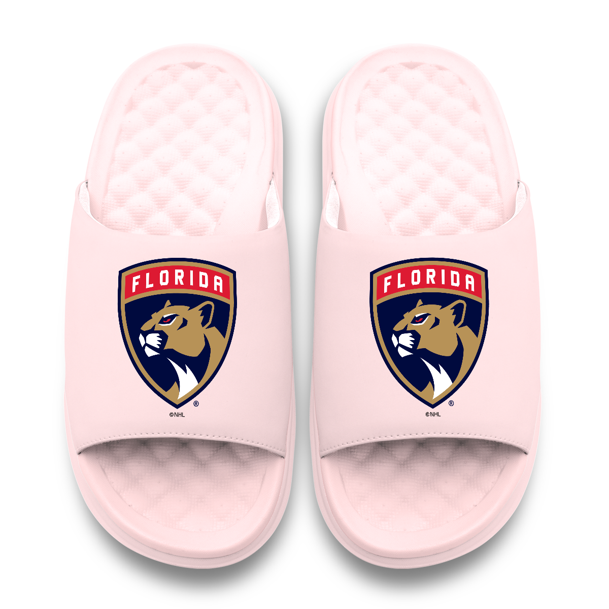 Florida Panthers Primary Motive
