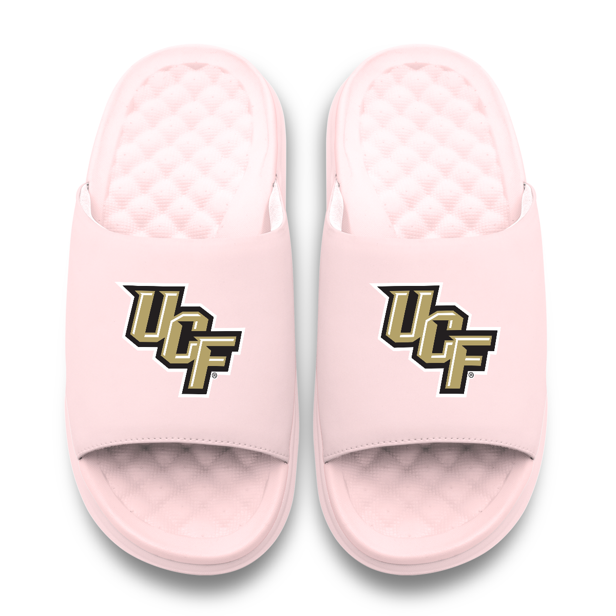 UCF Knights Primary Motive