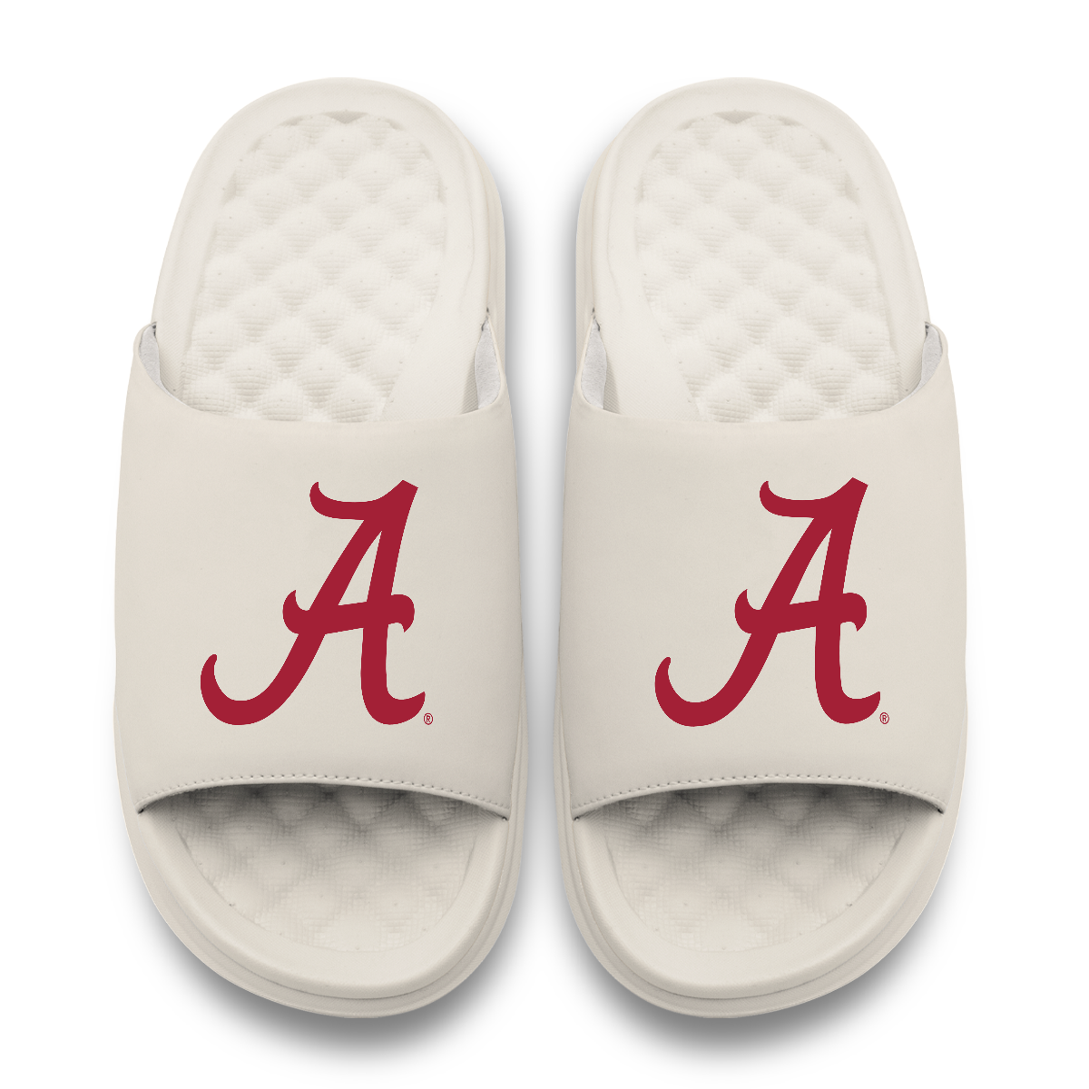 Alabama Crimson Tide Primary Motive