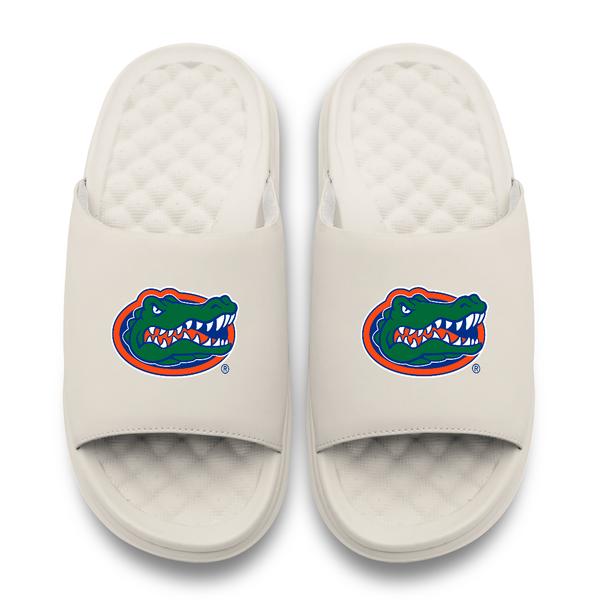 Florida Gators Primary Motive