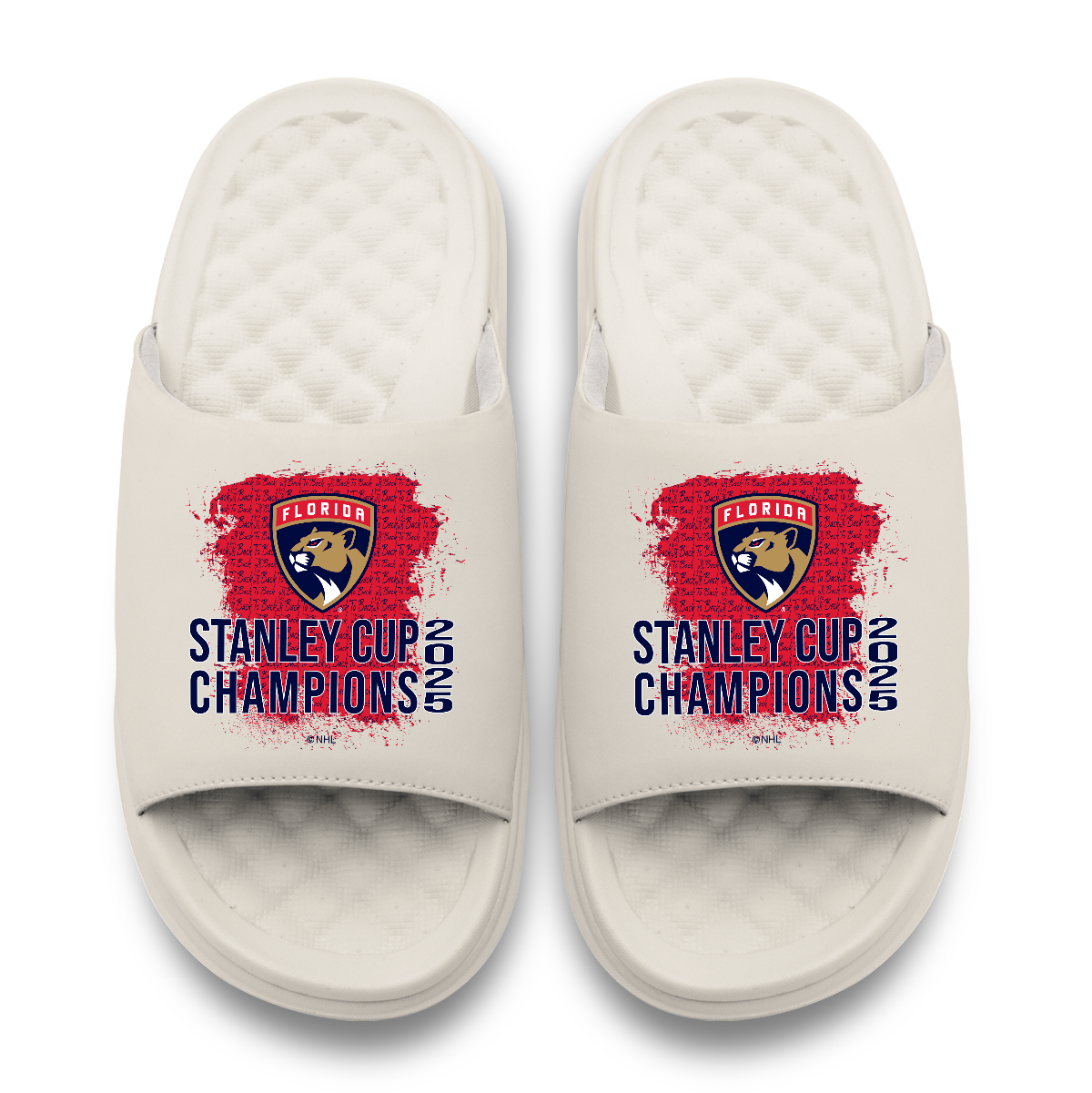 Florida Panthers 2025 Stanley Cup Champions Script Motive