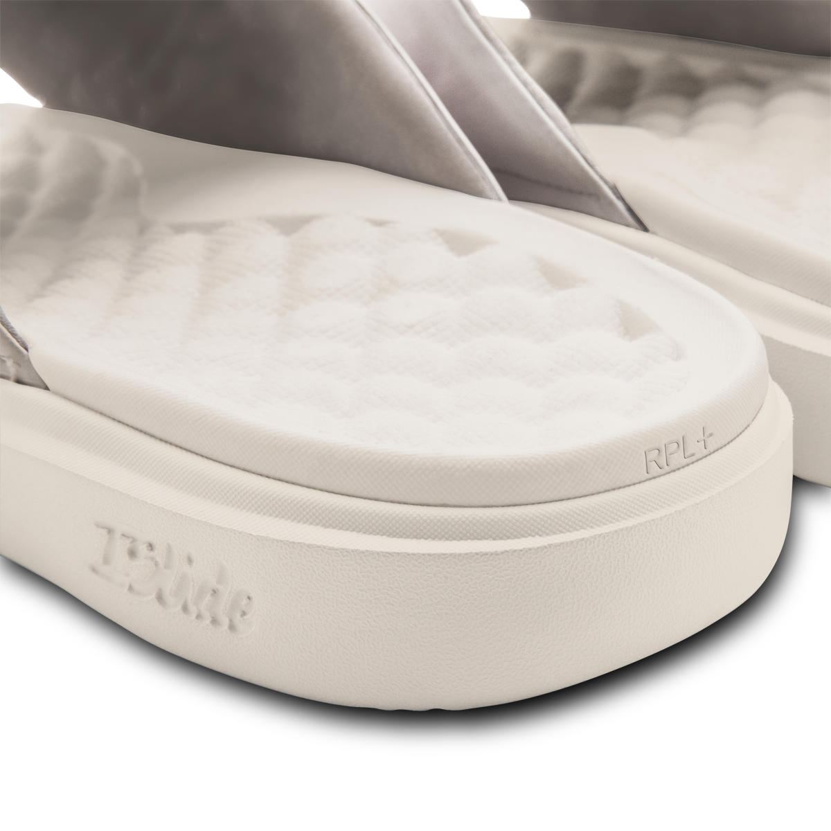 Florida Panthers Primary Motive