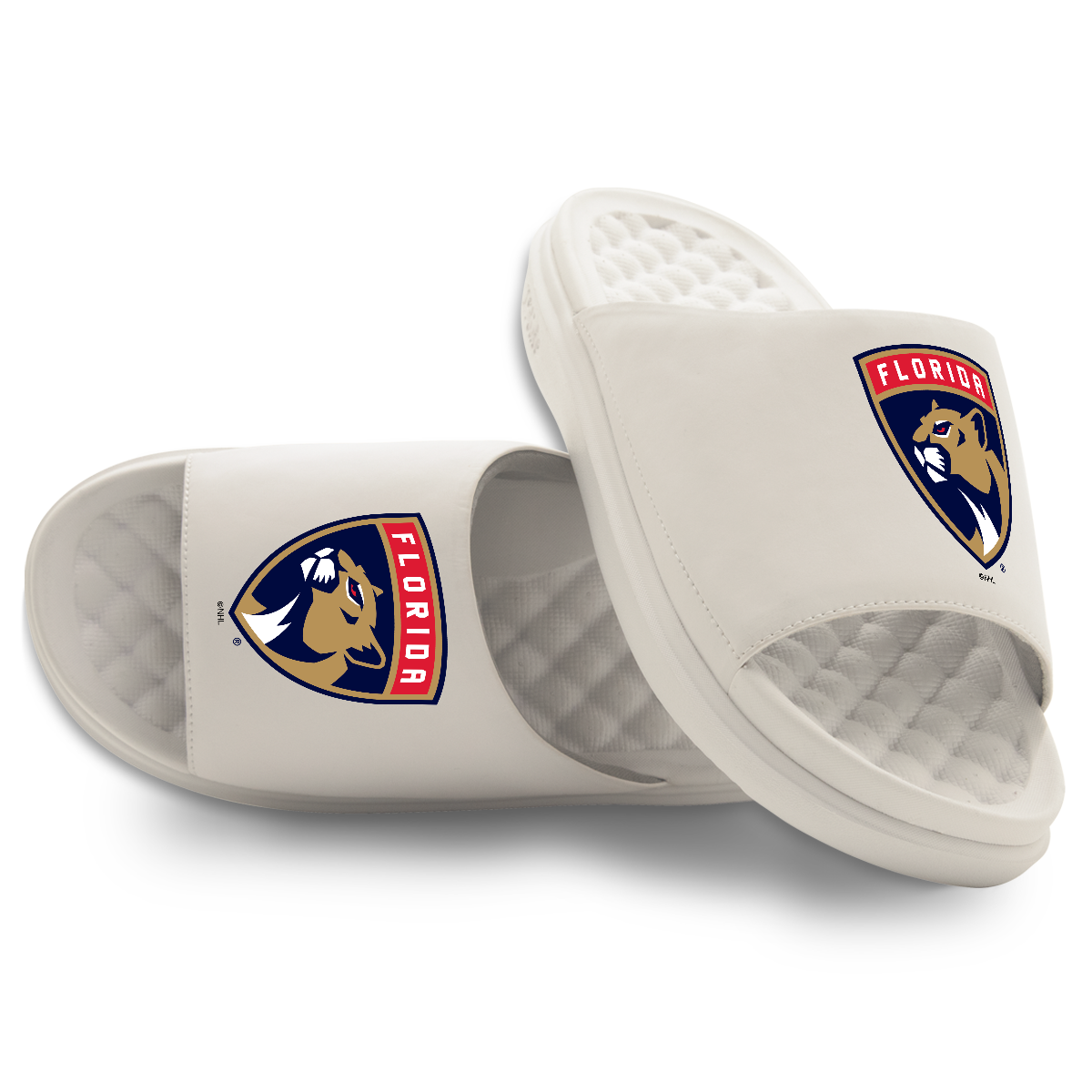 Florida Panthers Primary Motive