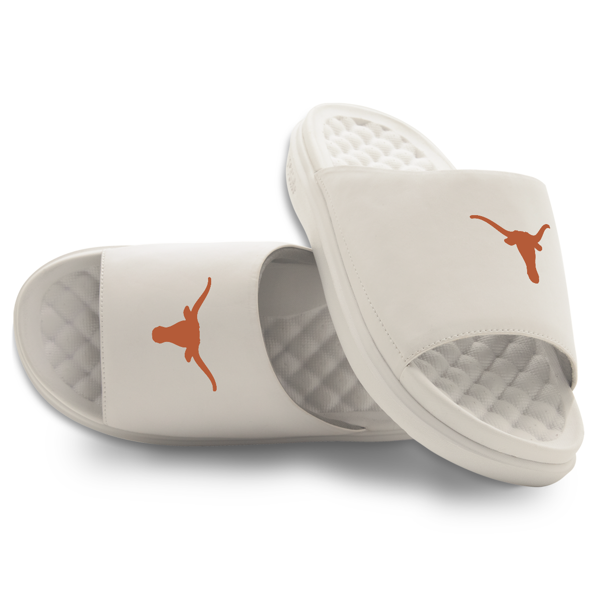 Texas Longhorns Primary Motive