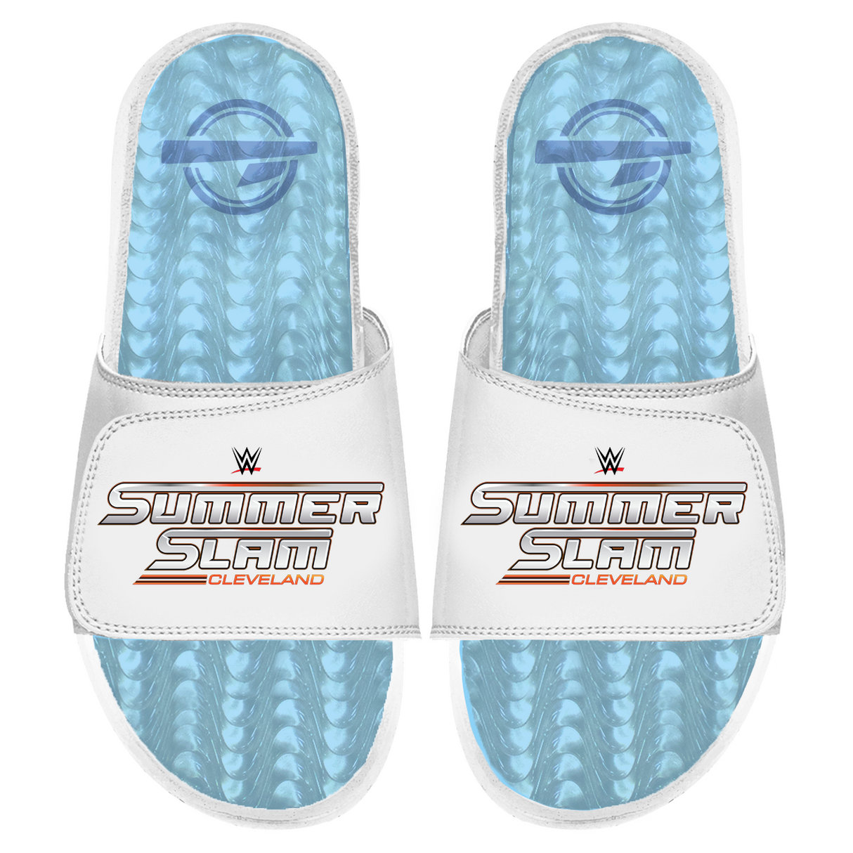 WWE 2024 Summer Slam