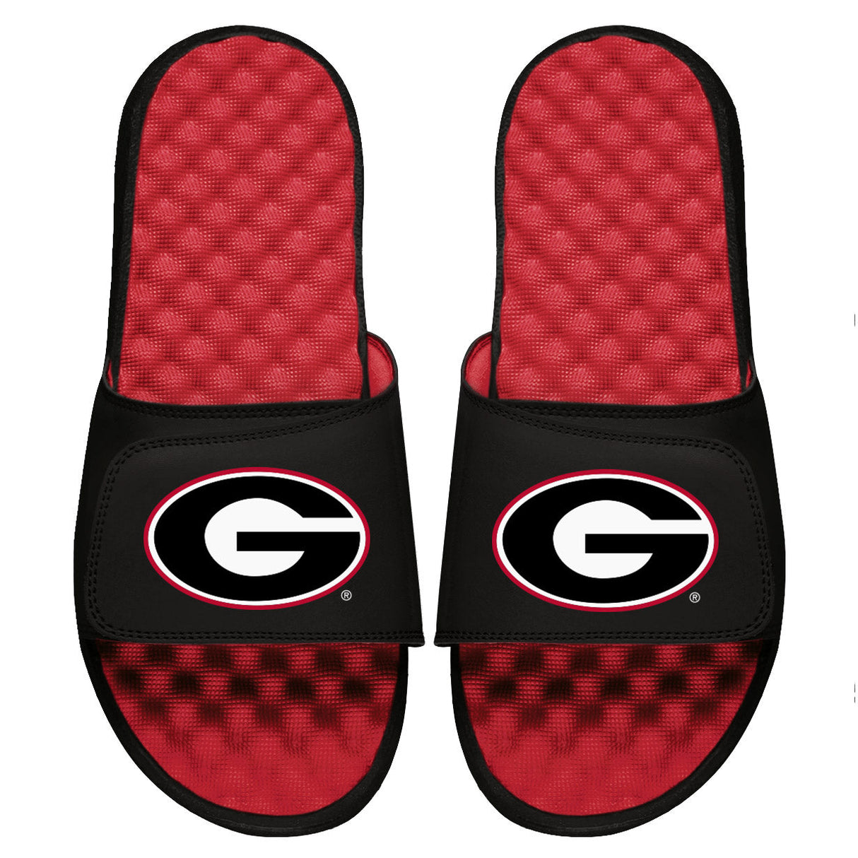 Georgia Primary Slides