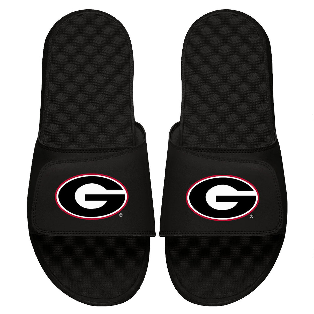 Georgia Primary Slides