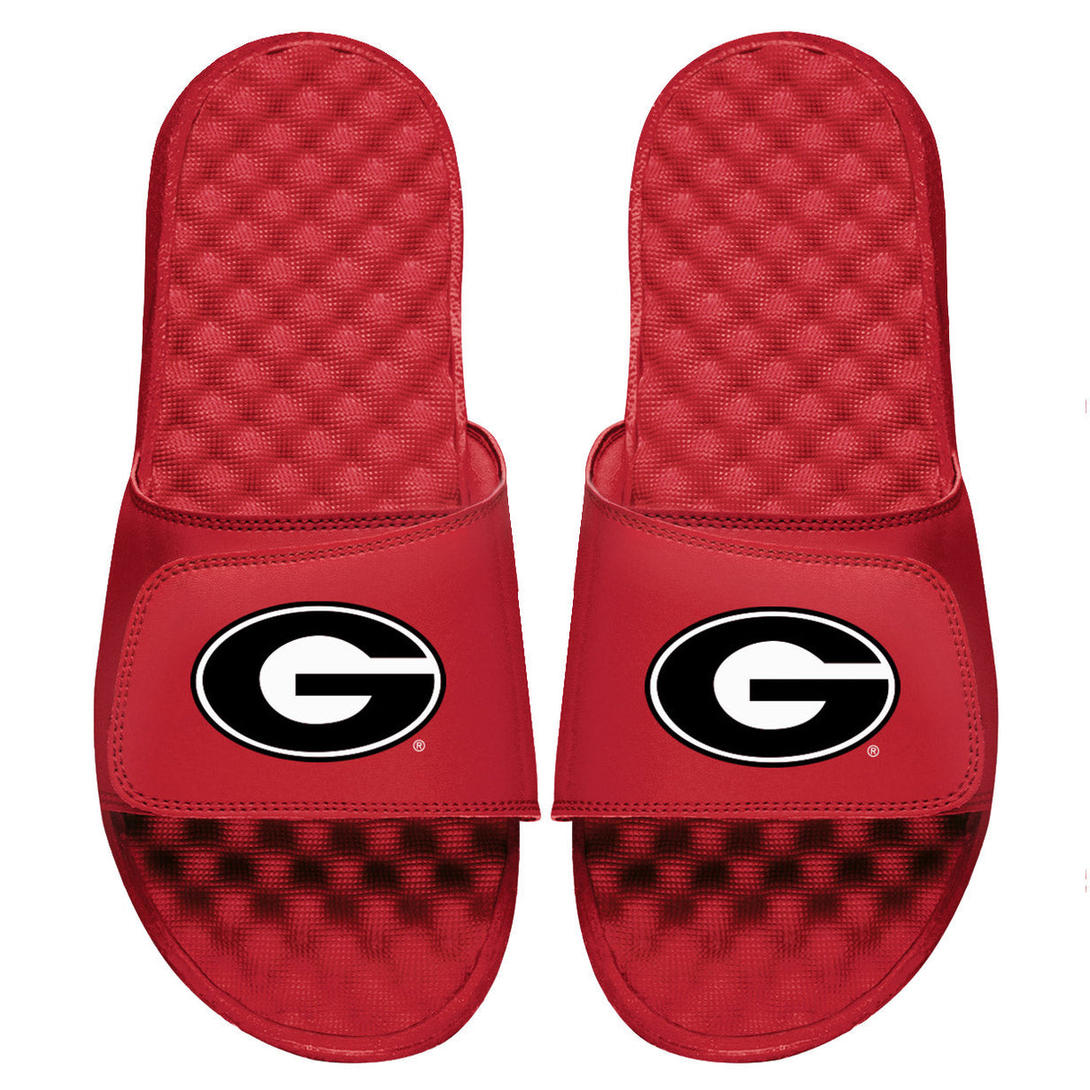 Georgia Primary Slides