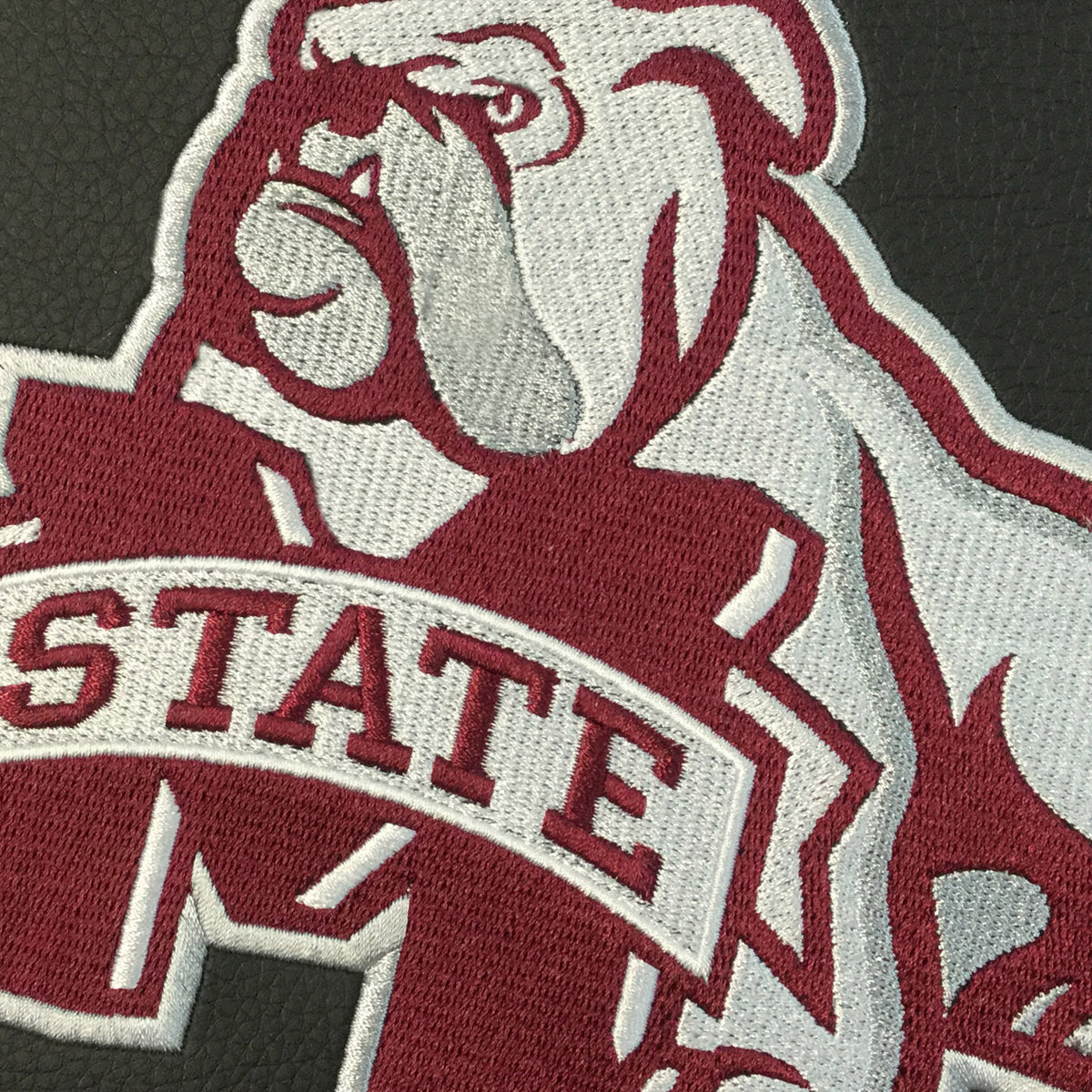 Logo Panel with Mississippi State Secondary