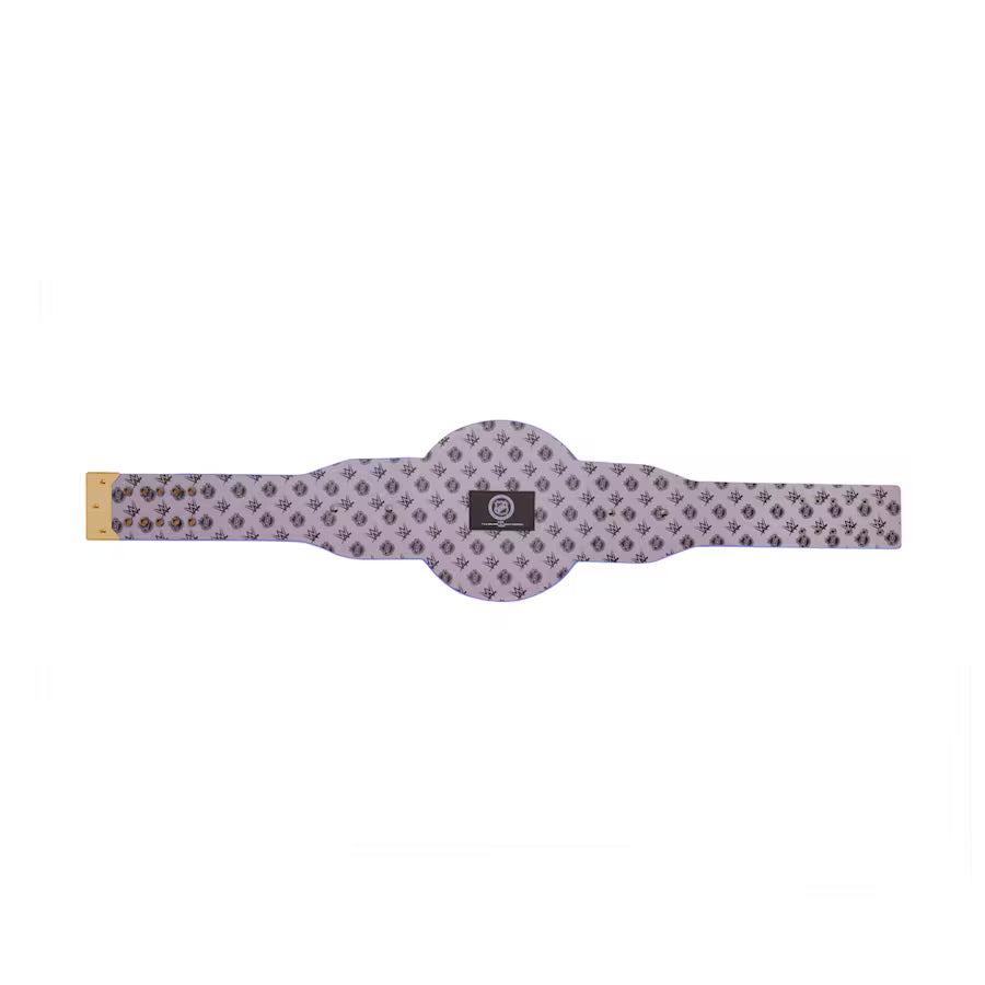 Buffalo Sabres WWE Legacy Title Belt