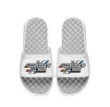 WWE Summer Slam Slides