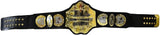 TNA Heavyweight Champion Replica Belt