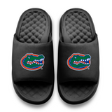 Florida Gators Primary Motive