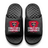 Florida Panthers 2025 Stanley Cup Champions Script Motive