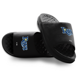 Tampa Bay Rays Primary Motive