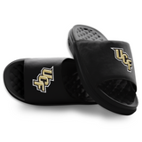 UCF Knights Primary Motive