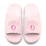 Florida State Seminoles Tonal Pop Motive
