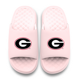 Georgia Bulldogs Primary Motive