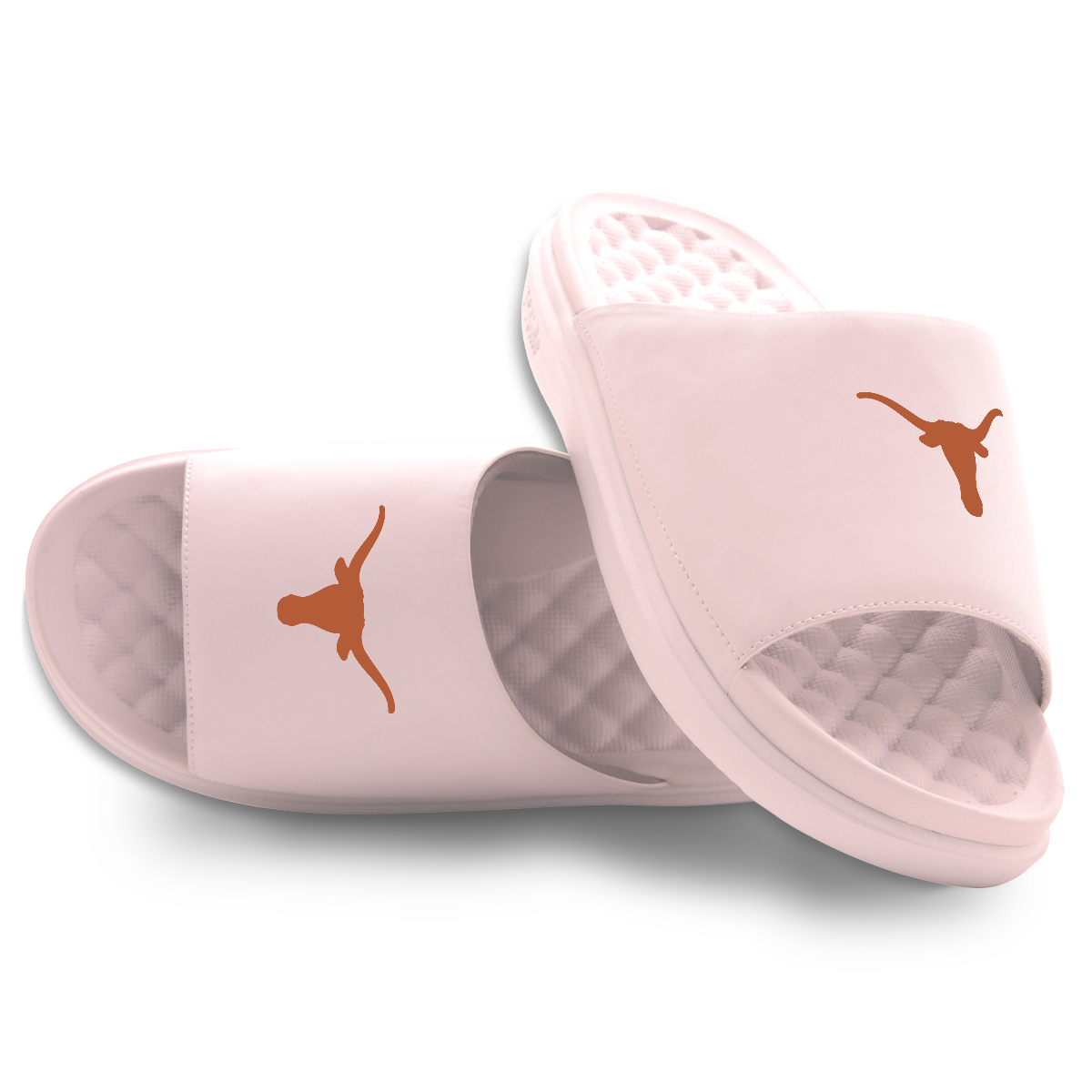 Texas Longhorns Primary Motive