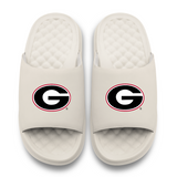 Georgia Bulldogs Primary Motive