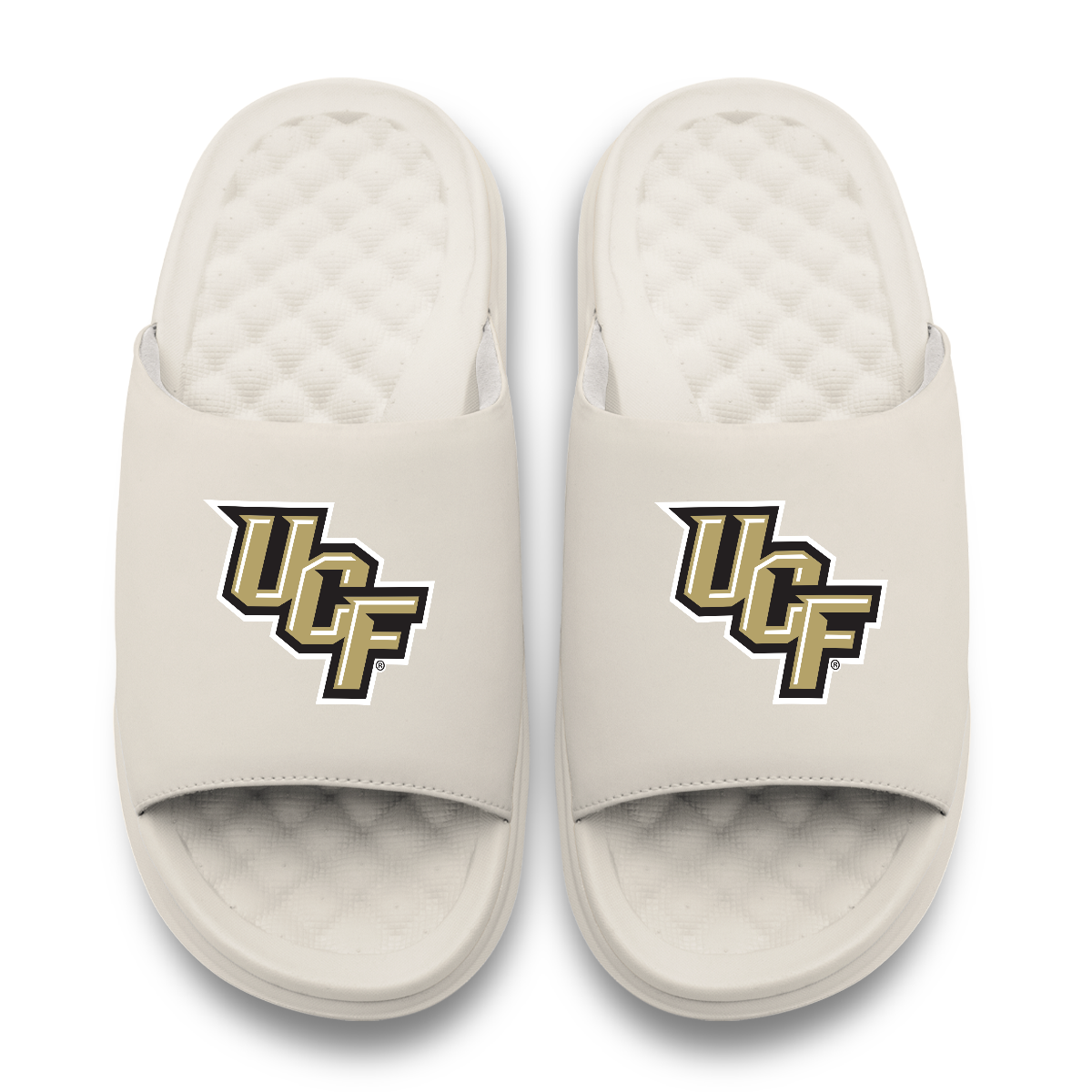UCF Knights Primary Motive