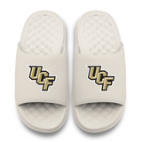 UCF Knights Primary Motive
