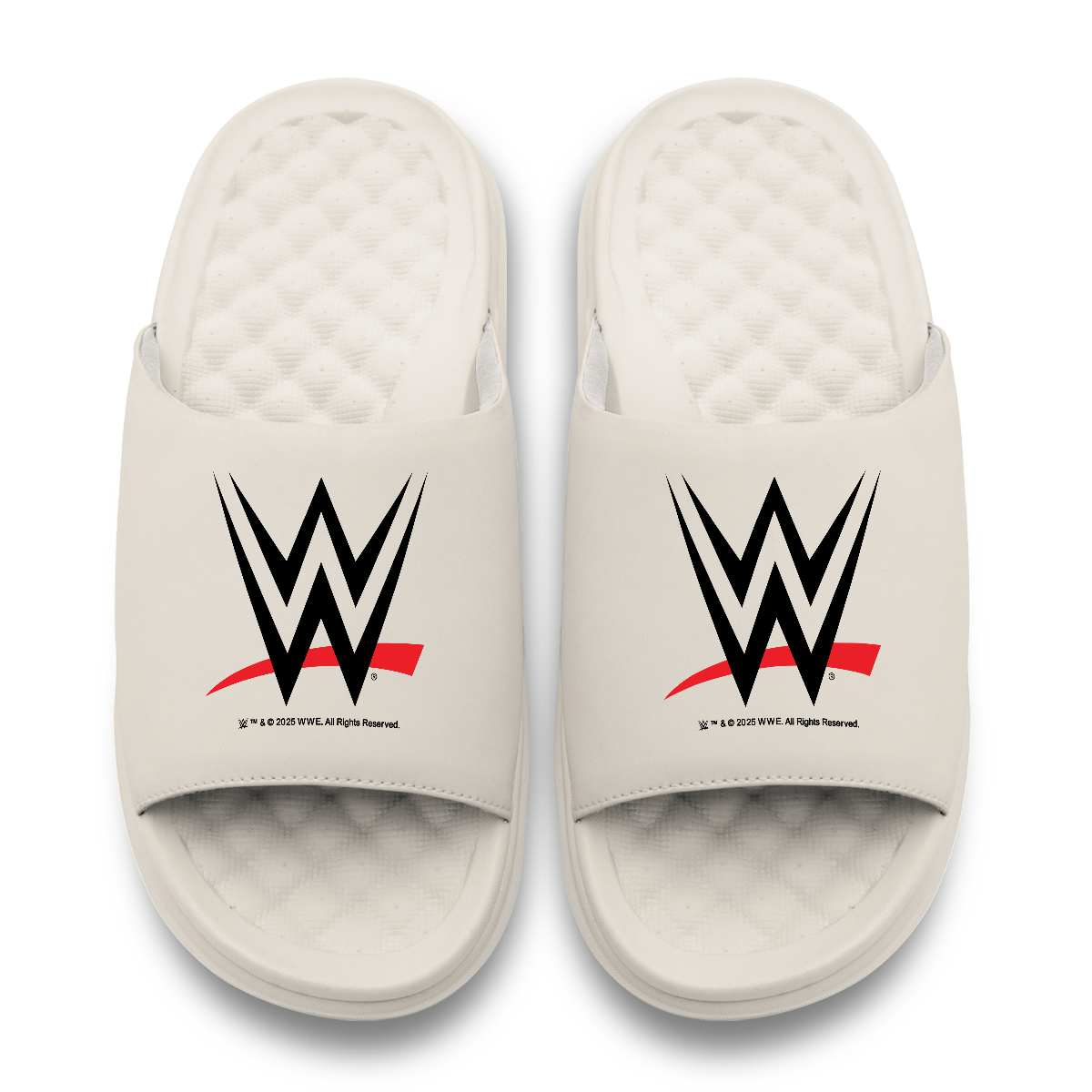 WWE Logo Motive