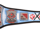 CM Punk 434-Day Record Signature Championship Title Belt Replica