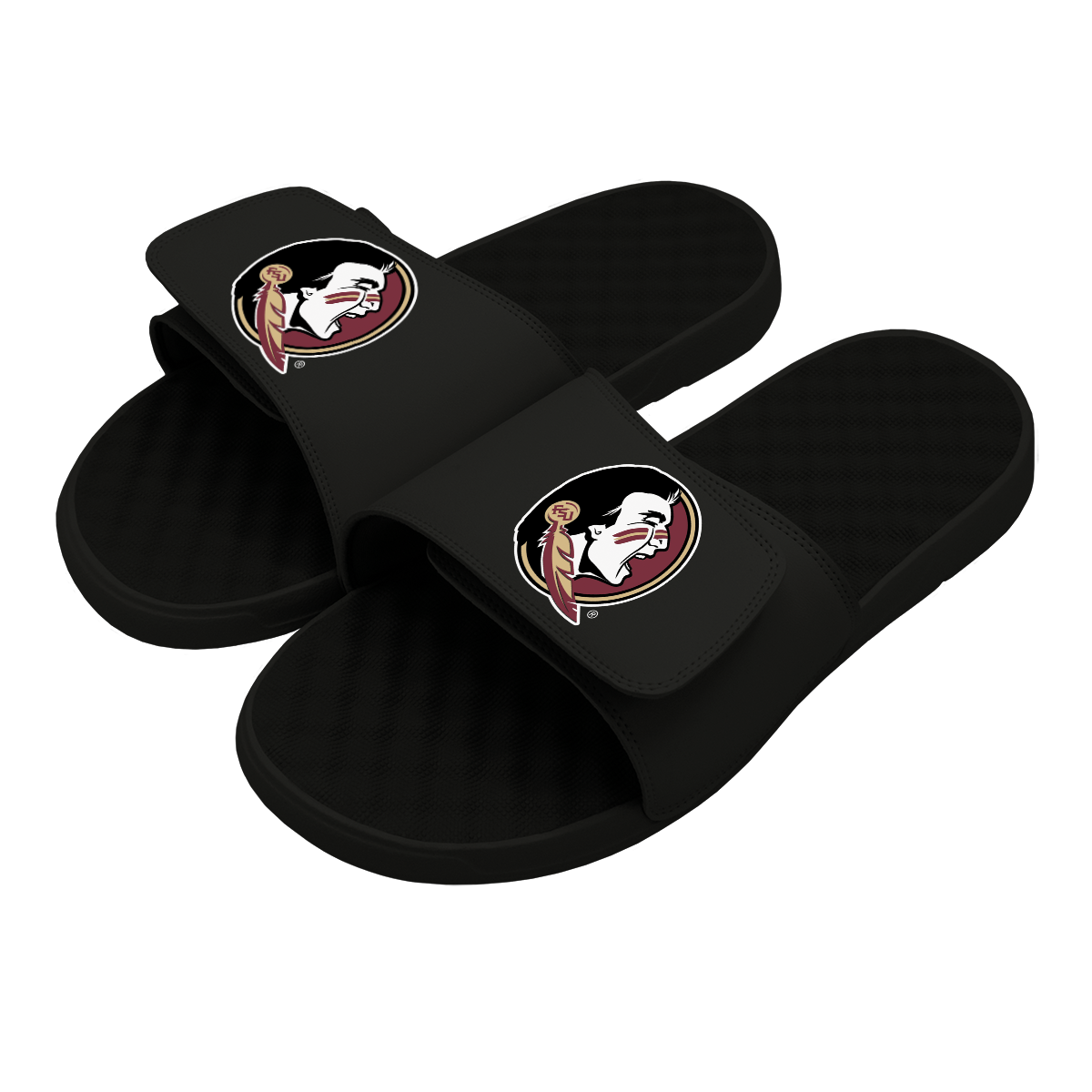 Florida State Seminoles Slides