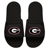 Georgia Primary Slides