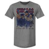 Chicago Baseball Vintage