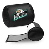 Bemidji State University Secondary Logo Panel