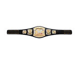 WWE Championship John Cena Spinner Replica Title Belt