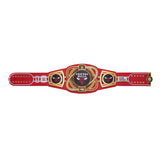 Chicago Bulls WWE Legacy Title Belt