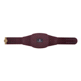 Chicago Bulls WWE Legacy Title Belt