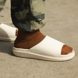 Texas Longhorns Primary Motive