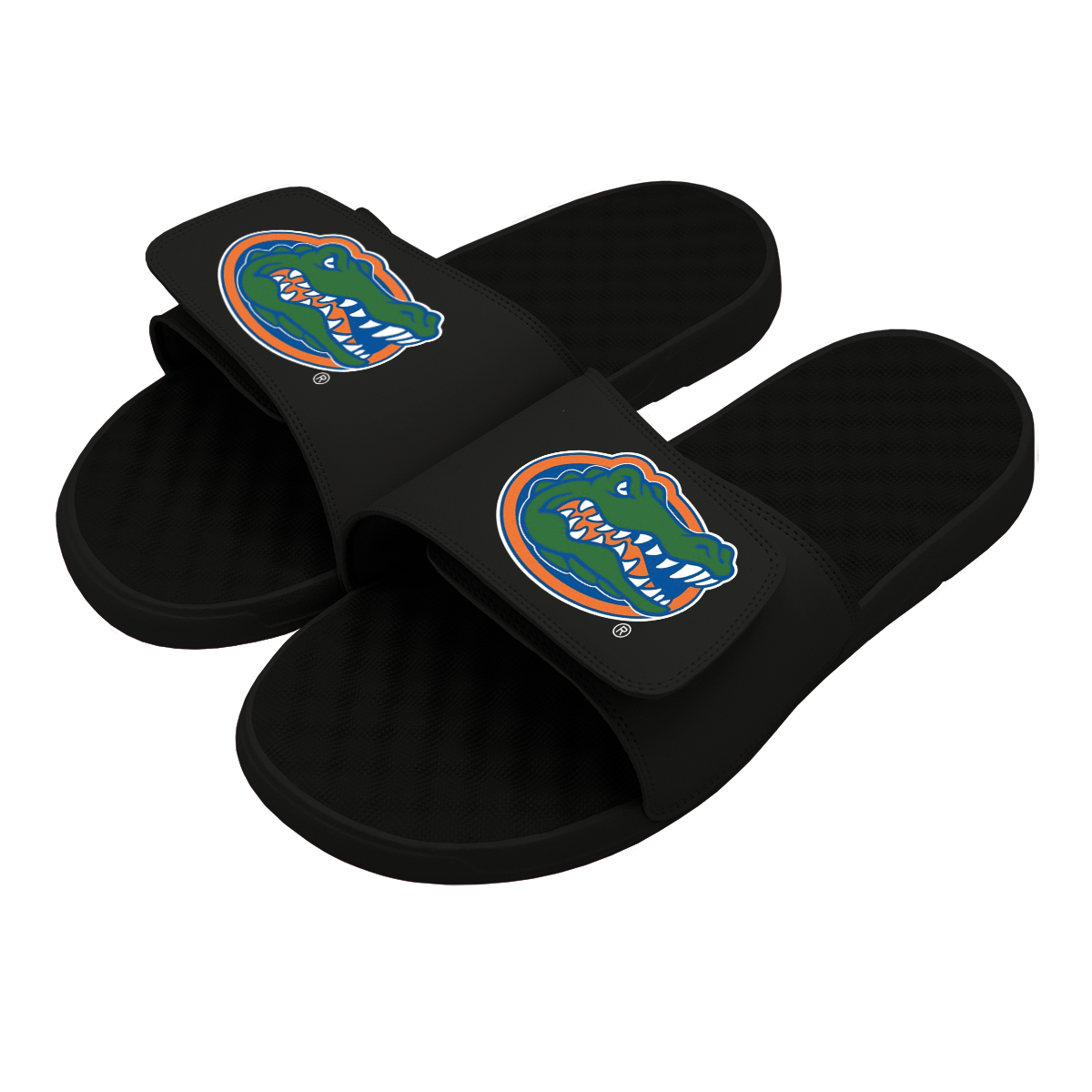 Florida Gators Primary Slides