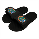 Florida Gators Primary Slides