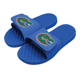 Florida Gators Primary Slides